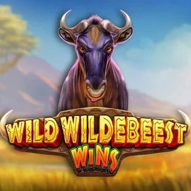 Wild Wildebeest Wins online game logo by Pragmatic Play on rockswin.com